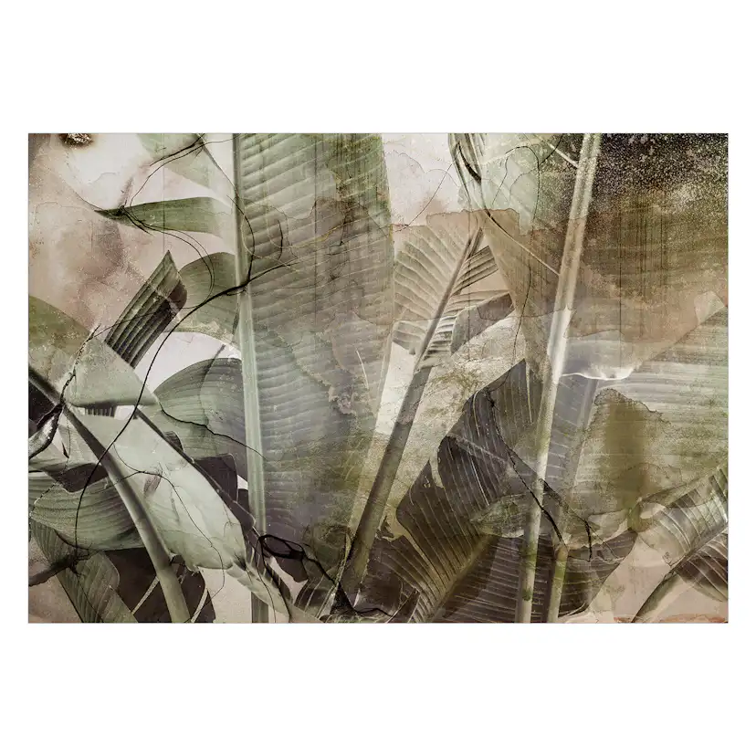 Fototapet Arkiio Banana Jungle