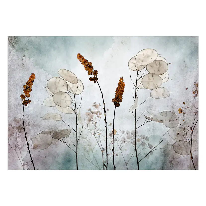 Fototapet Arkiio Lunaria In The Meadow