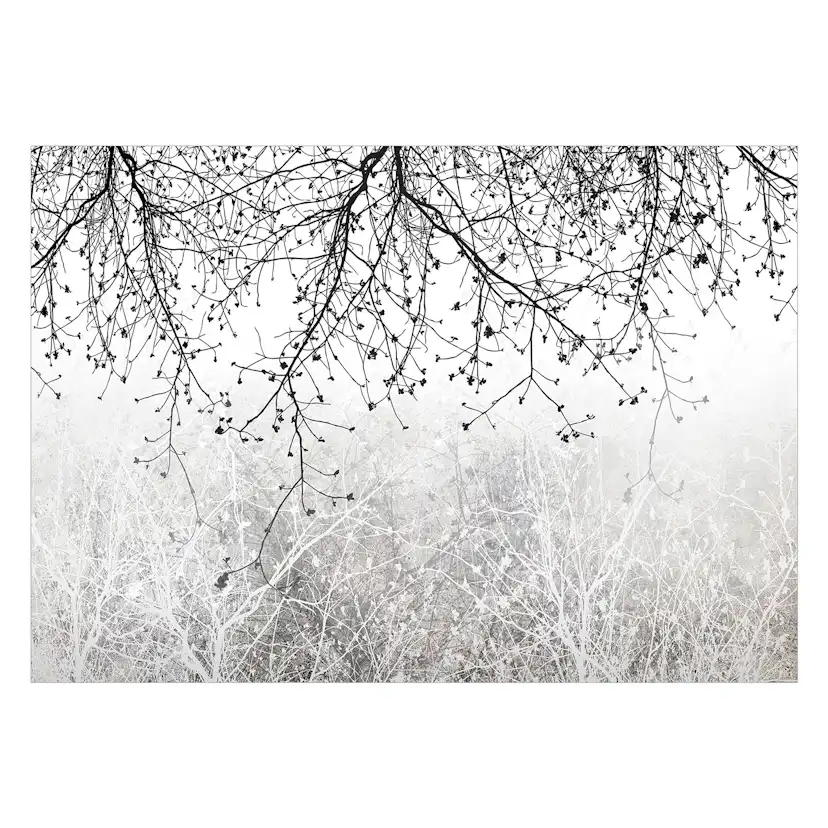 Fototapet Arkiio Natural Brightness