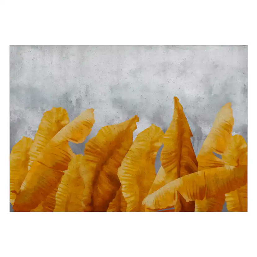 Fototapet Arkiio Banana Leaves