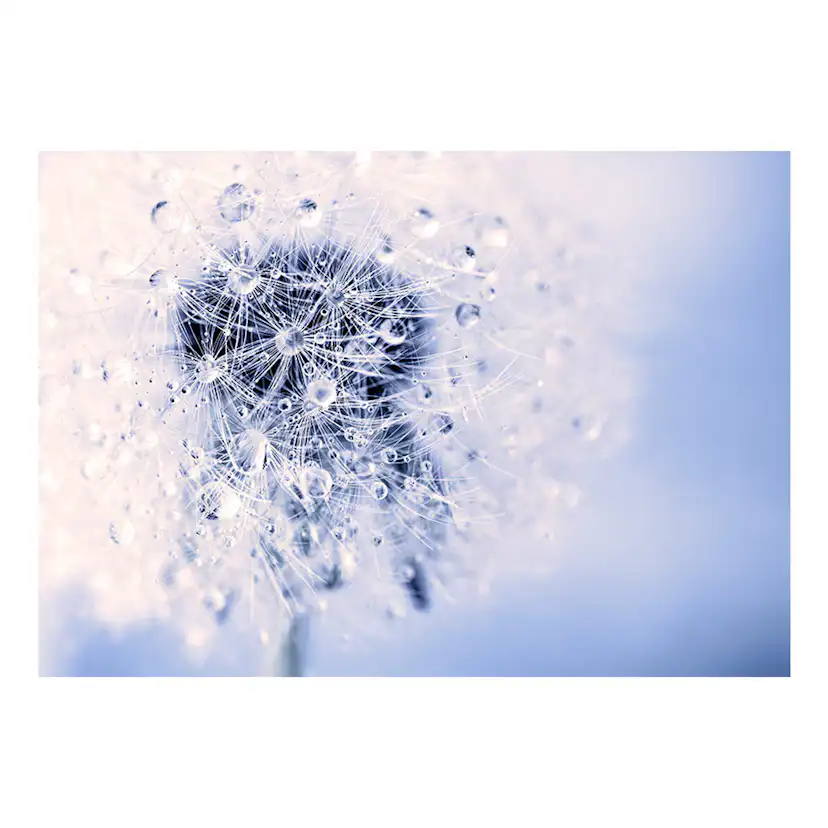 Fototapet Arkiio Etheric Morning