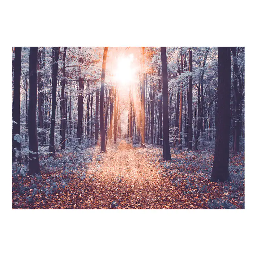 Fototapet Arkiio Edge Of The Sun