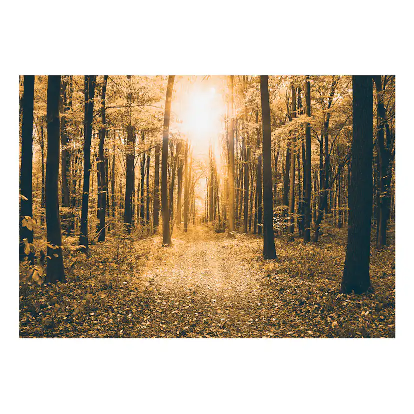 Fototapet Arkiio Magical Light