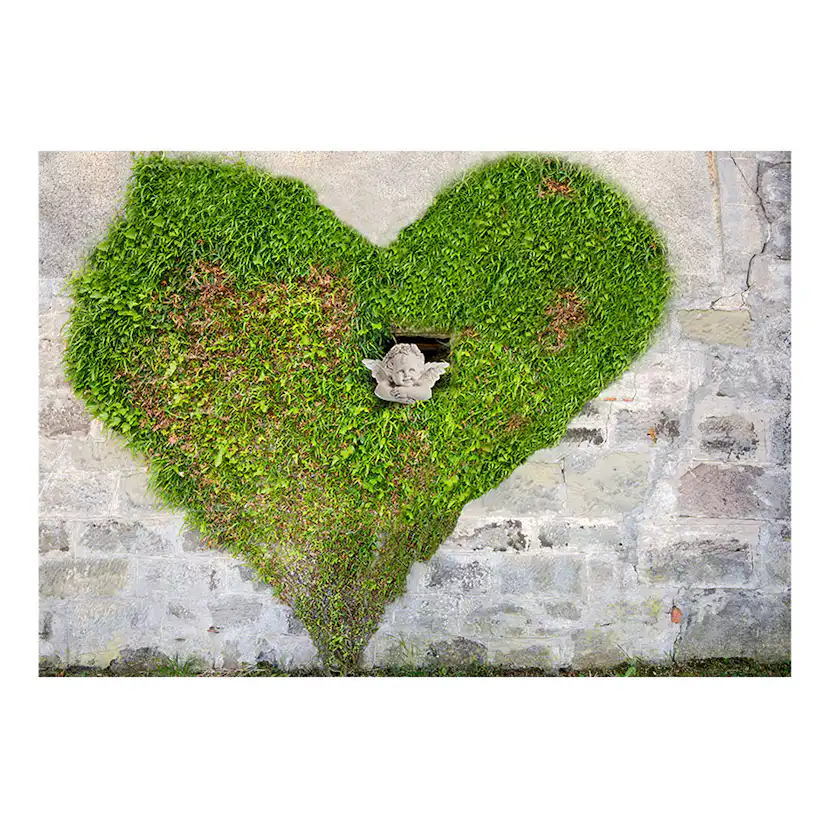 Fototapet Arkiio Angel Stole My Heart