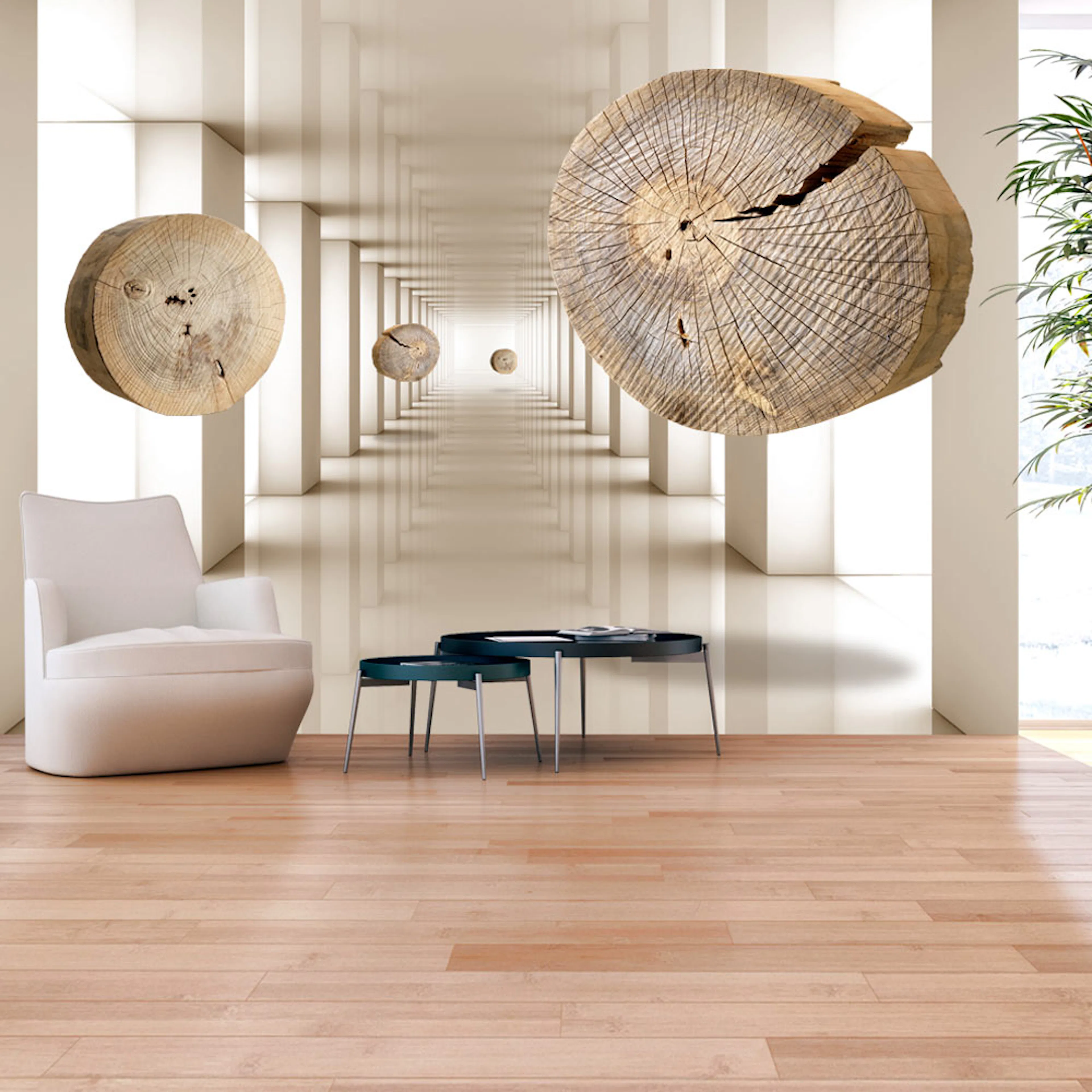 Fototapet Arkiio Flying Discs Of Wood