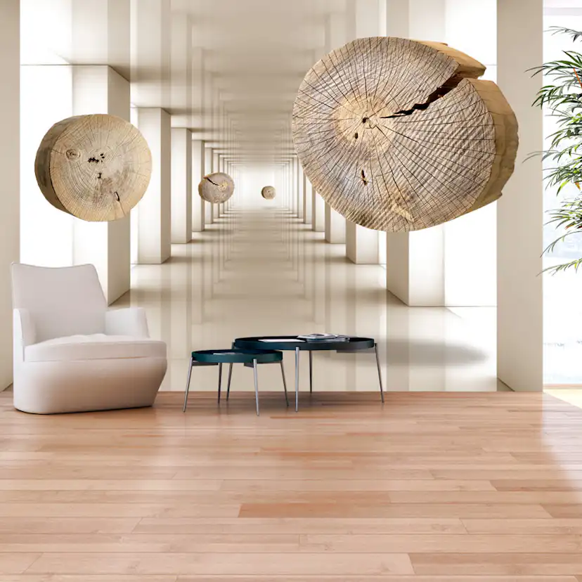 Fototapet Arkiio Flying Discs Of Wood