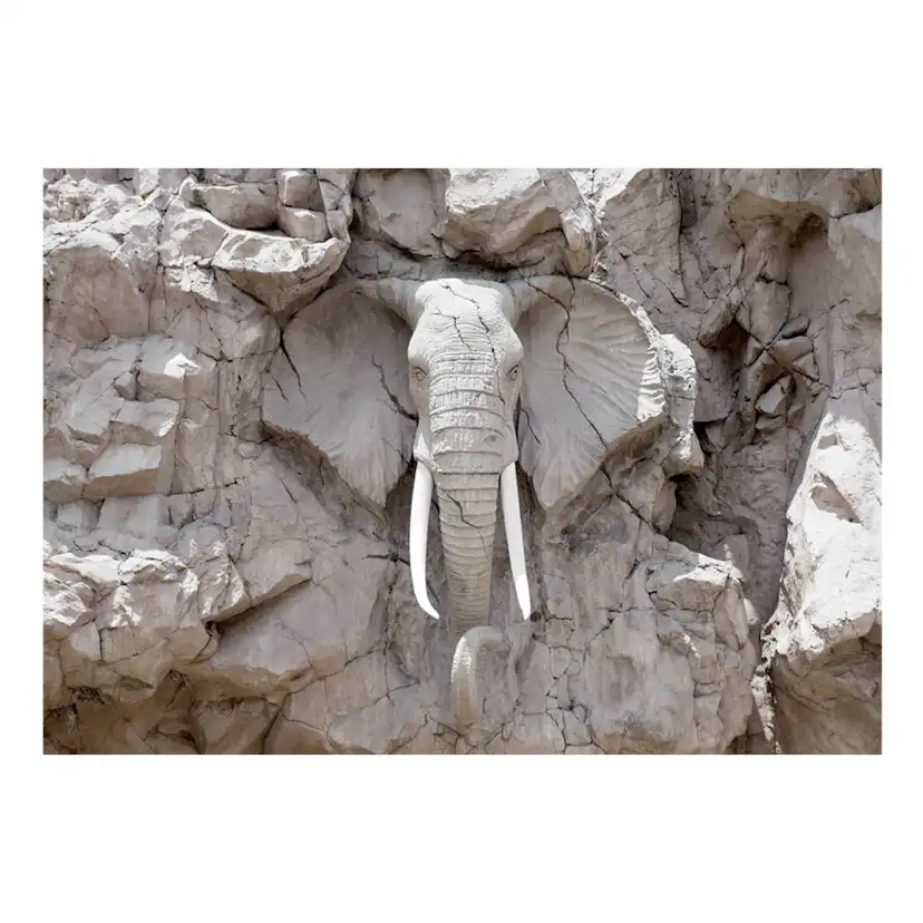 Fototapet Arkiio The Bridge Of Time South Africa