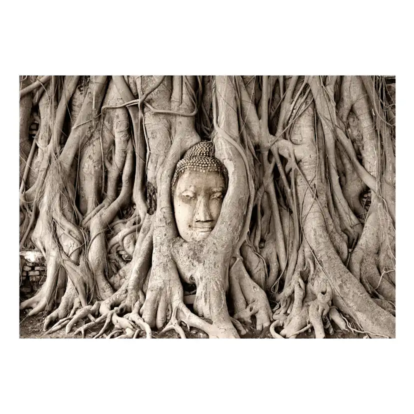 Fototapet Arkiio Buddha's Tree