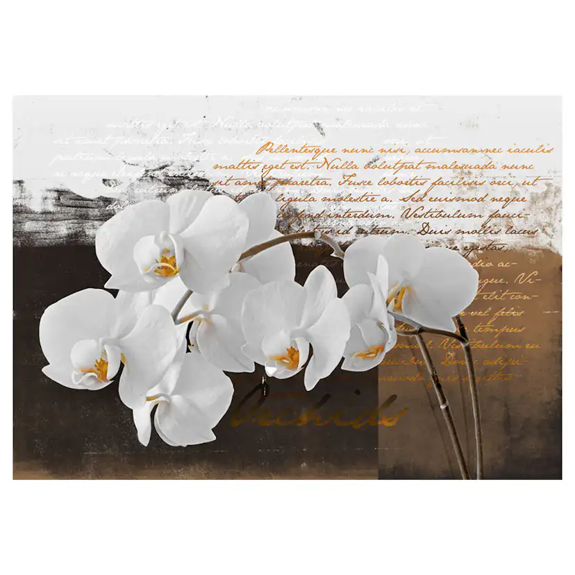 Fototapet Arkiio Sentimental Thoughts