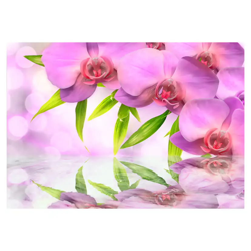 Fototapet Arkiio Orchids In Lilac Colour