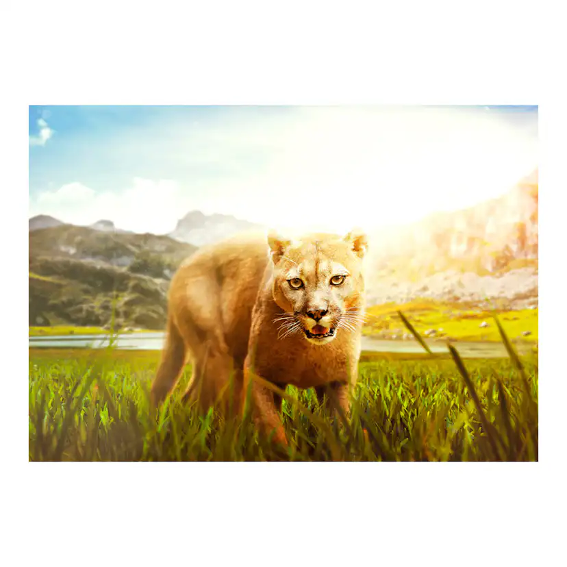 Fototapet Arkiio Watch Out!