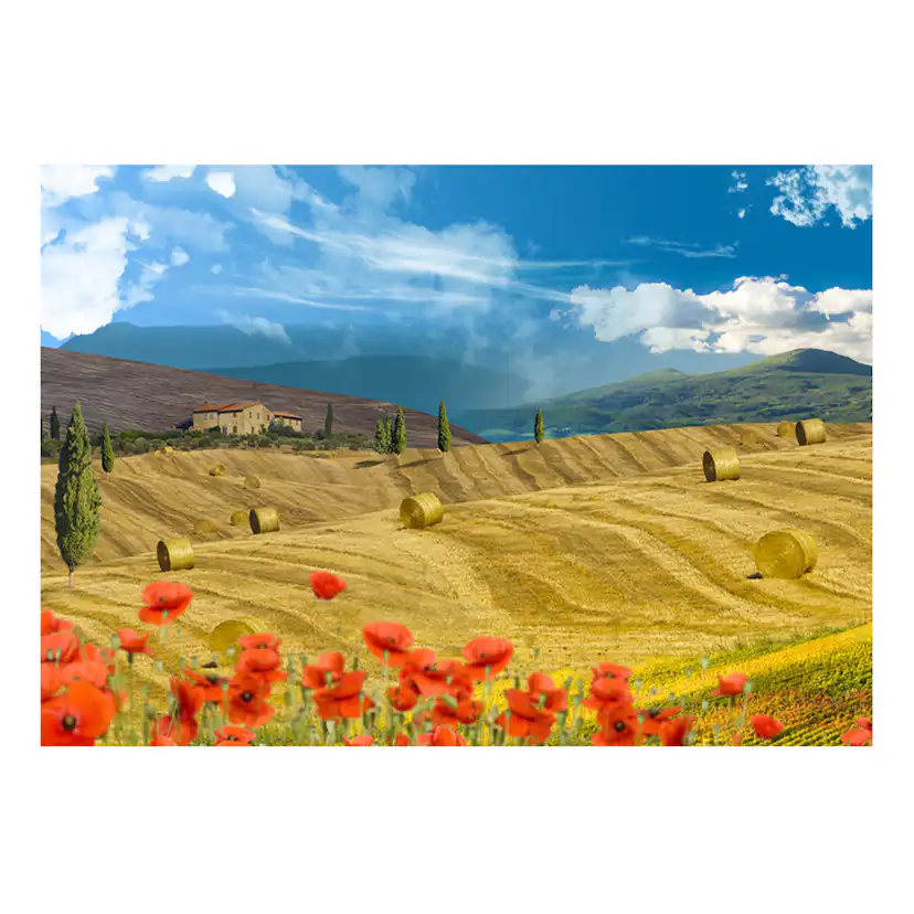 Fototapet Arkiio Autumn Landscape