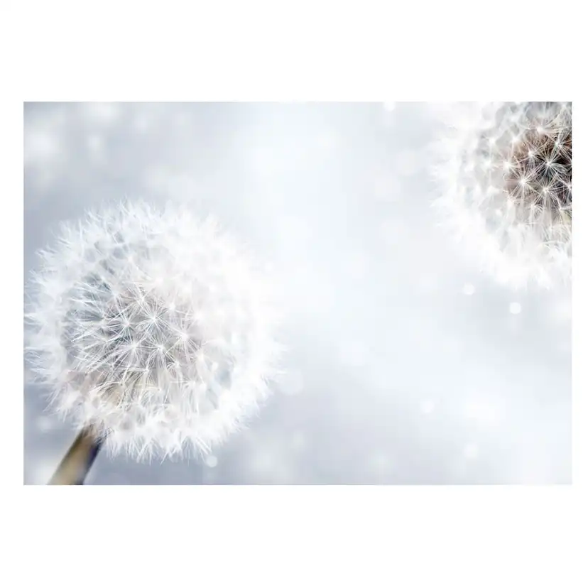 Fototapet Arkiio Unpredictable Moments