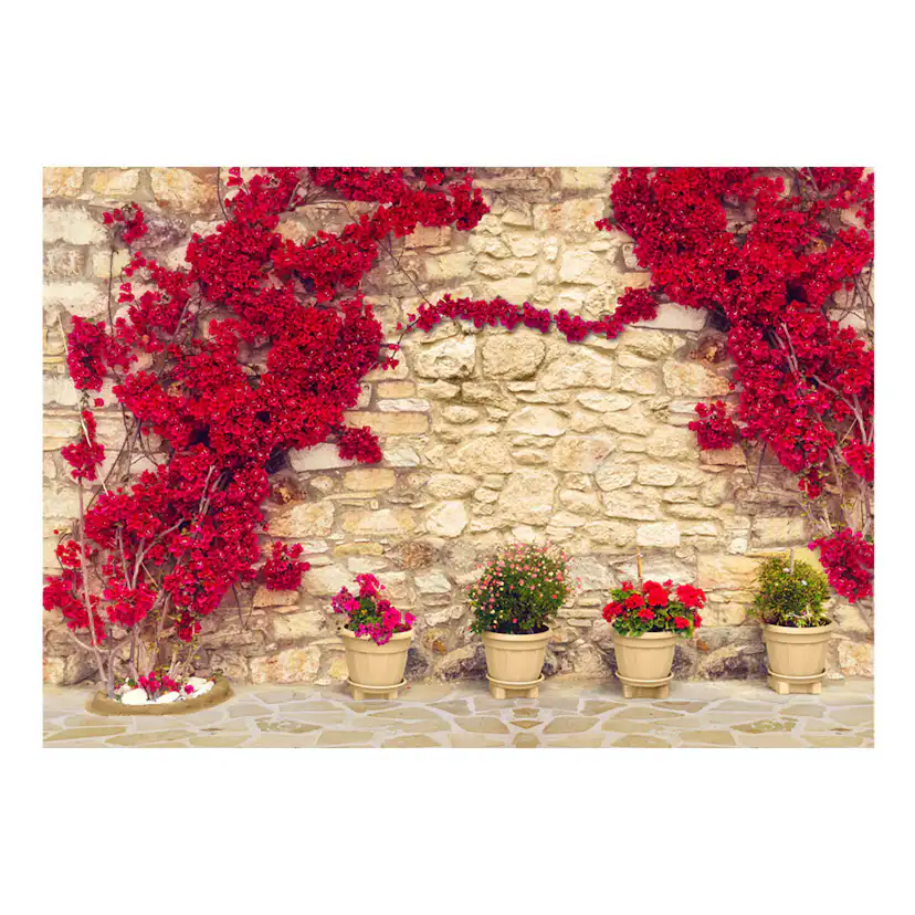 Fototapet Arkiio Warm Afternoon