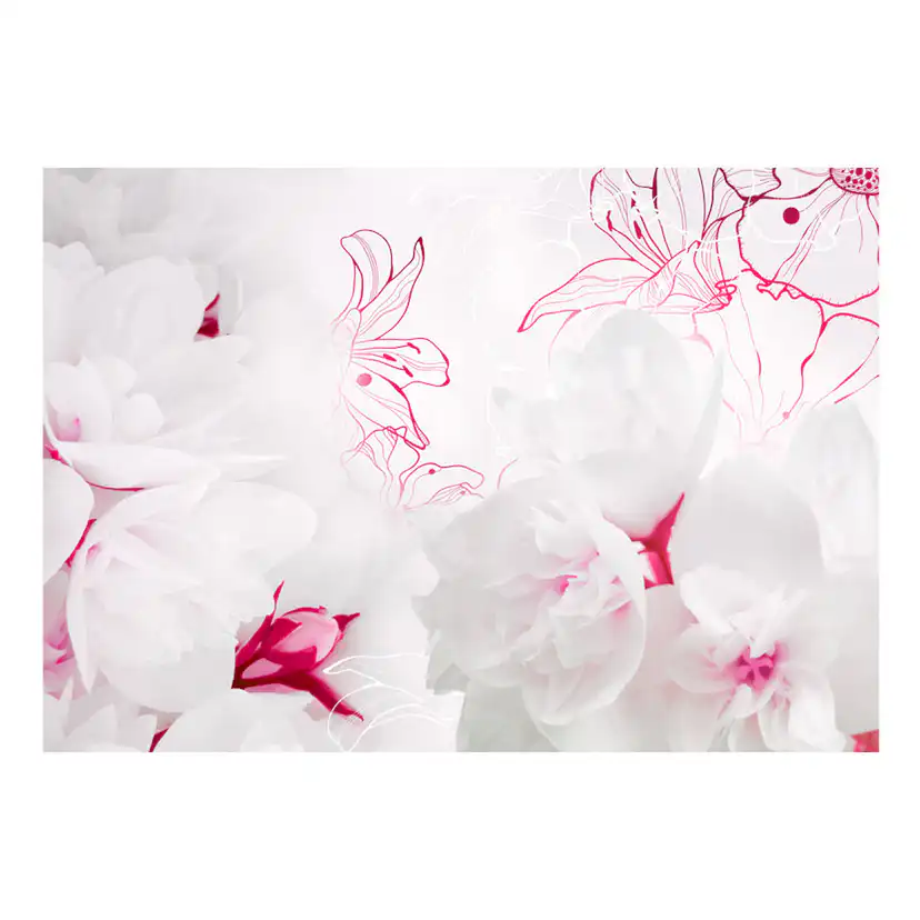 Fototapet Arkiio Enveloped In White