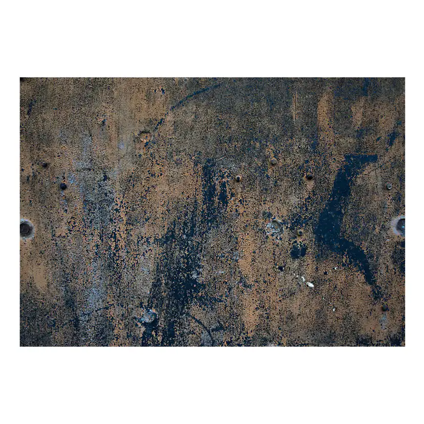 Fototapet Arkiio Prehistoric Dance