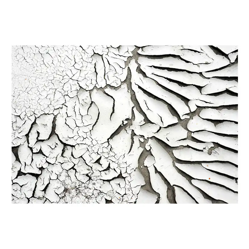 Fototapet Arkiio Signs Of The Time