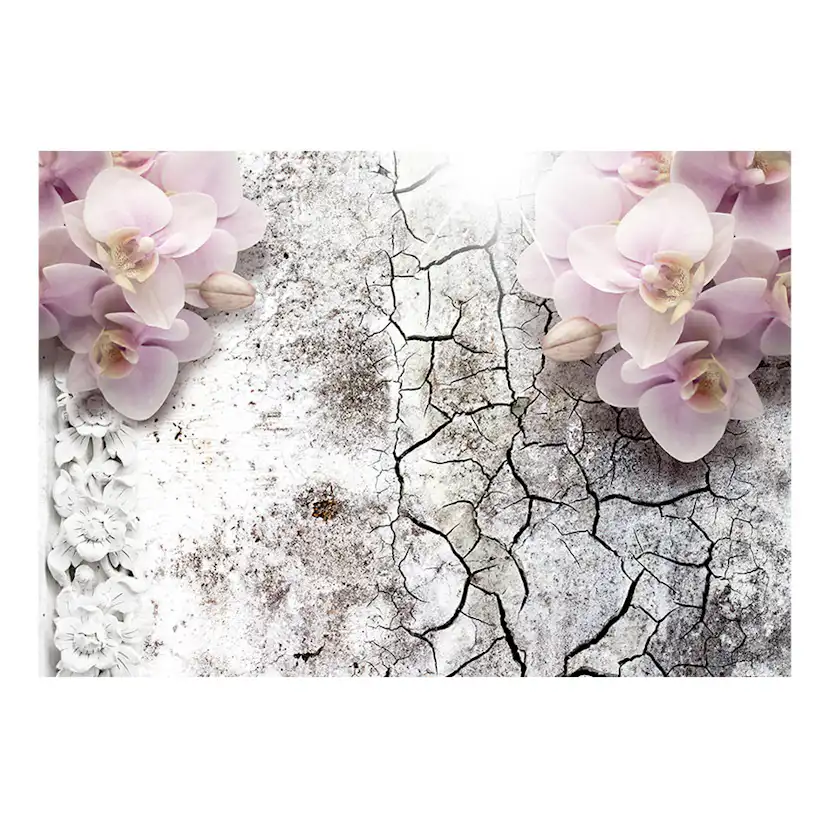 Fototapet Arkiio Bright Red Orchids