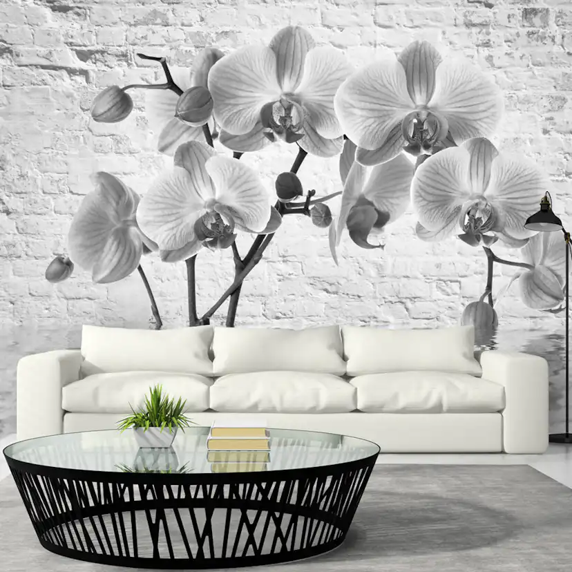 Fototapet Arkiio Orchid In Shades Of Gray