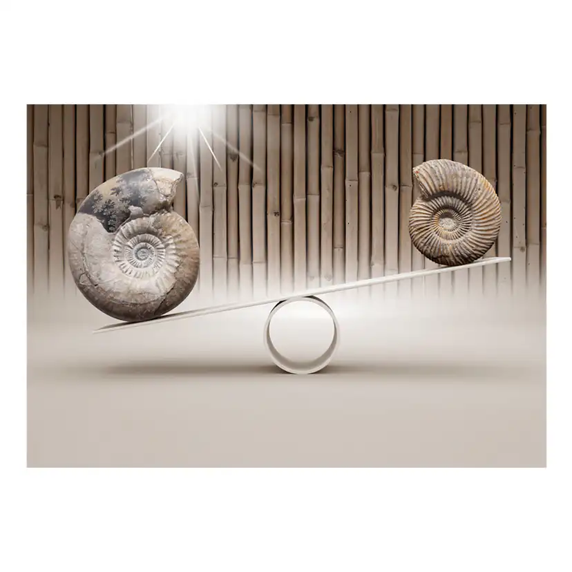 Fototapet Arkiio Fun With Fossils