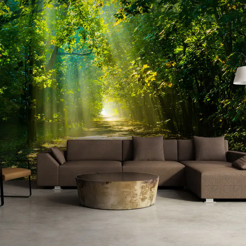 Fototapet Arkiio Road In Sunlight