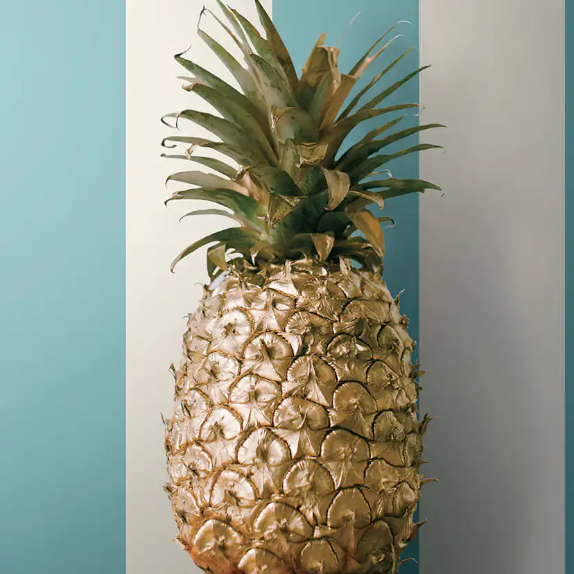 Tapet York Wallcoverings Ashford Tropics AT7008