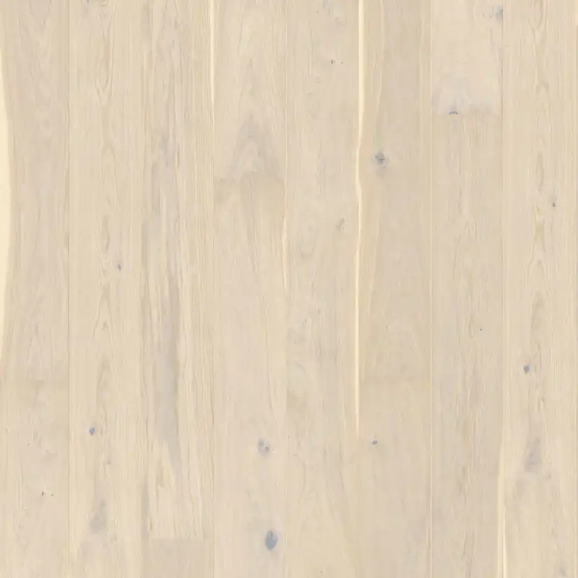 Parkettgolv Berg & Berg Ek XXL Österlen Mattlack 1-Stav