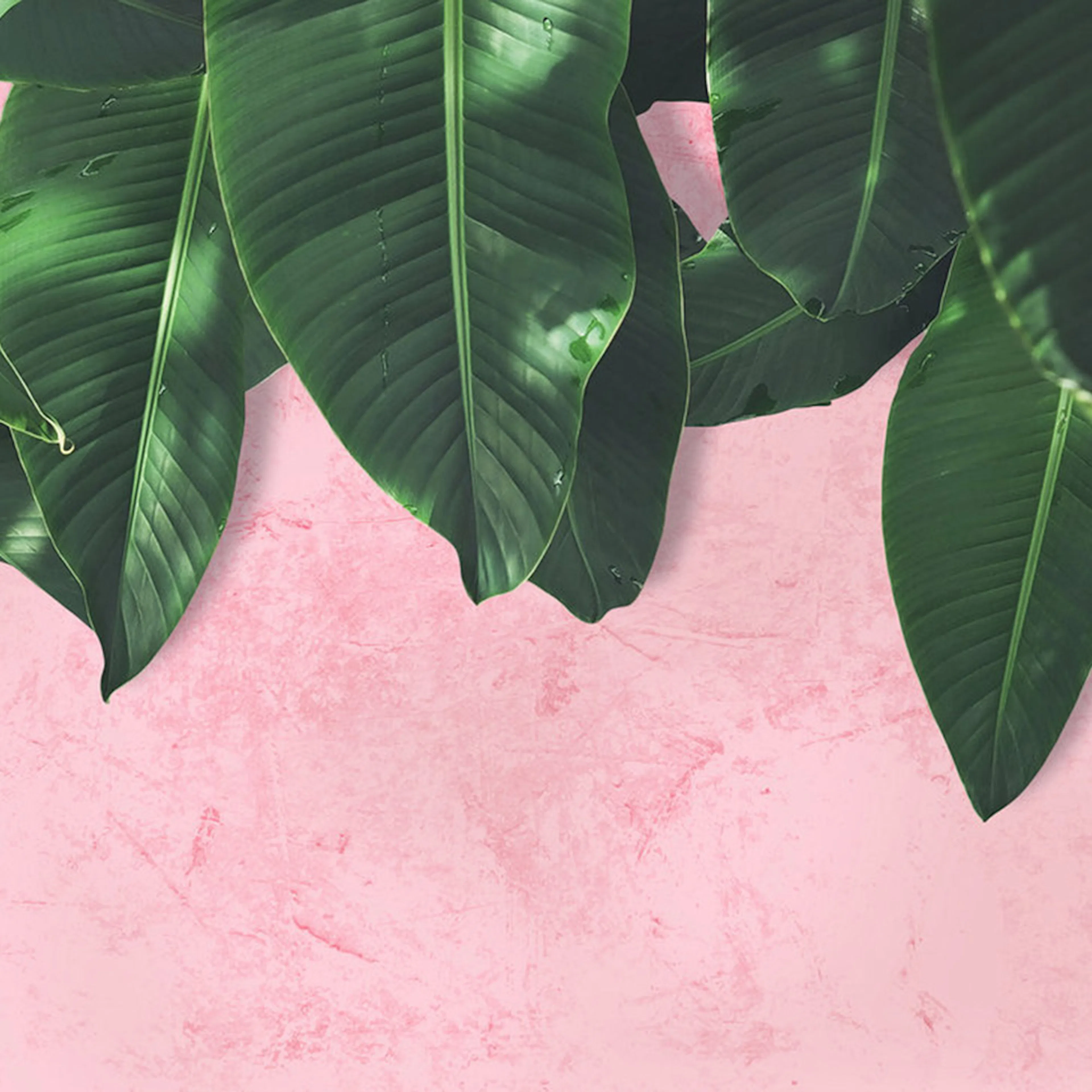 Fototapet Living Walls Designwalls DD118544