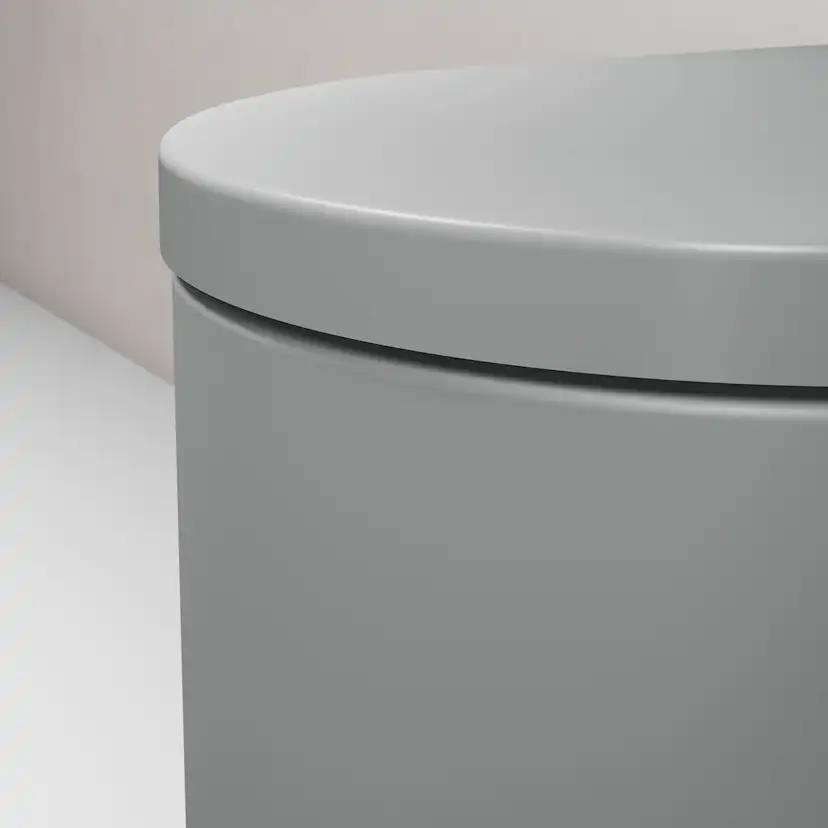 Vägghängd Toalettstol Duravit Millio Smooth