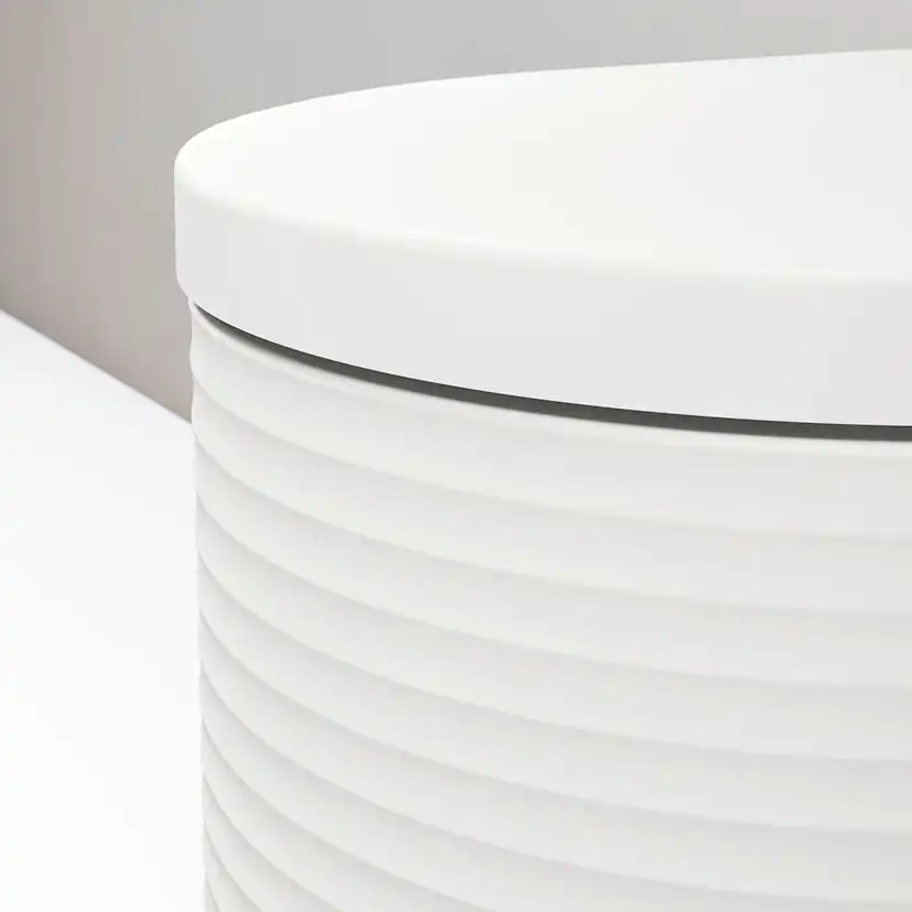 Vägghängd Toalettstol Duravit Millio Grooves