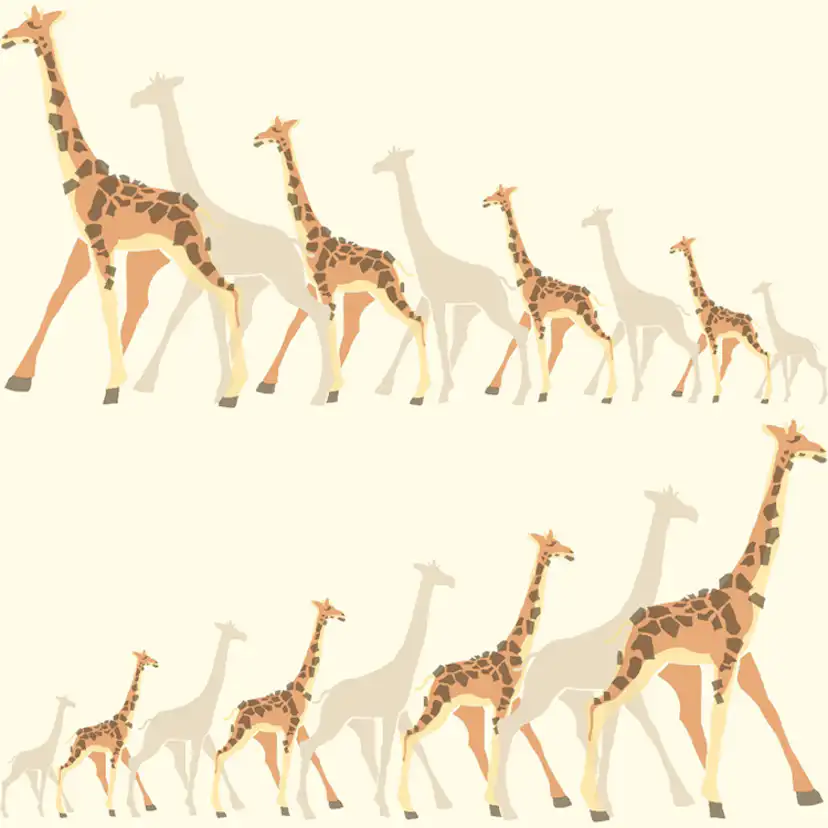 Tapet York Wallcoverings Dwell Studio Baby & Kids DW2361