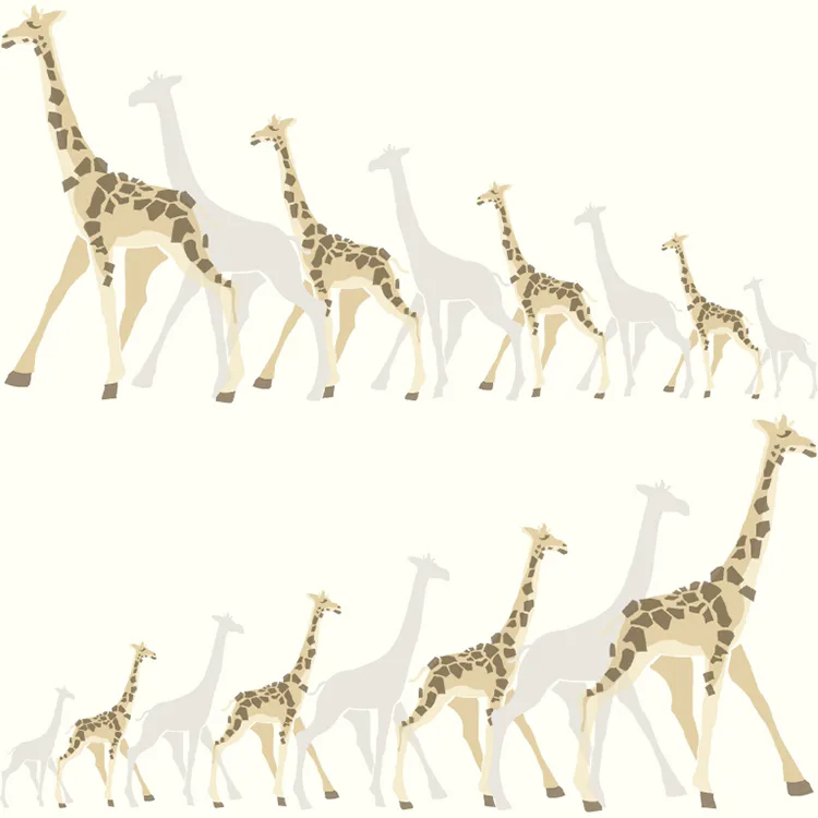 Tapet York Wallcoverings Dwell Studio Baby & Kids DW2362