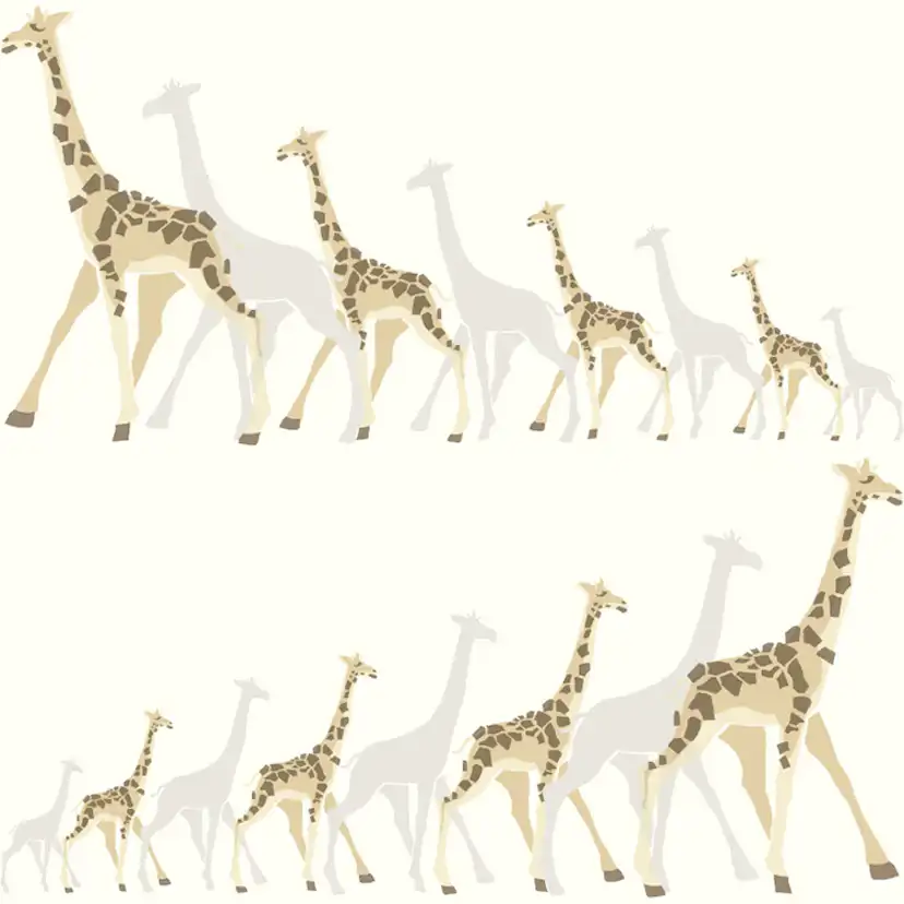 Tapet York Wallcoverings Dwell Studio Baby & Kids DW2362