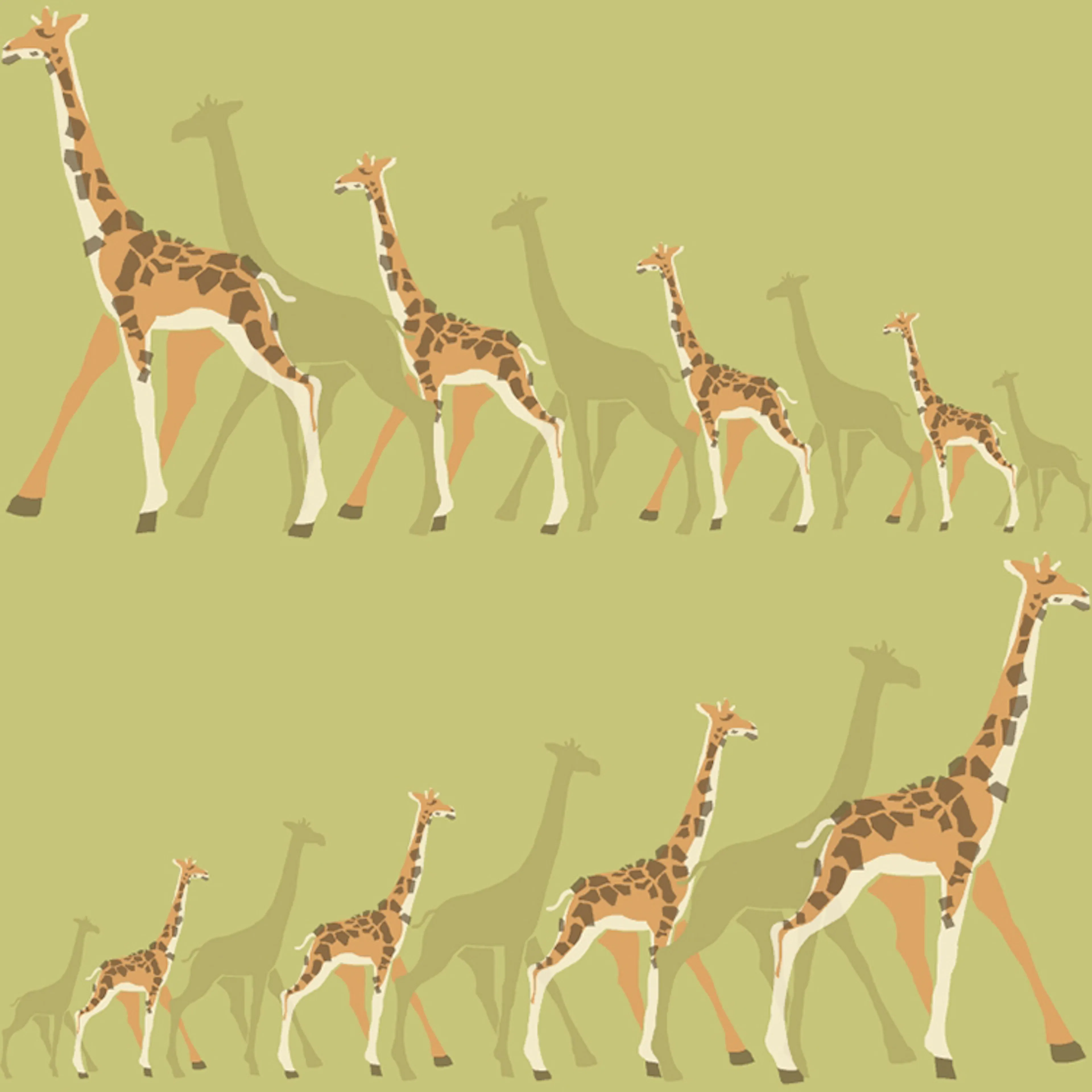 Tapet York Wallcoverings Dwell Studio Baby & Kids DW2364