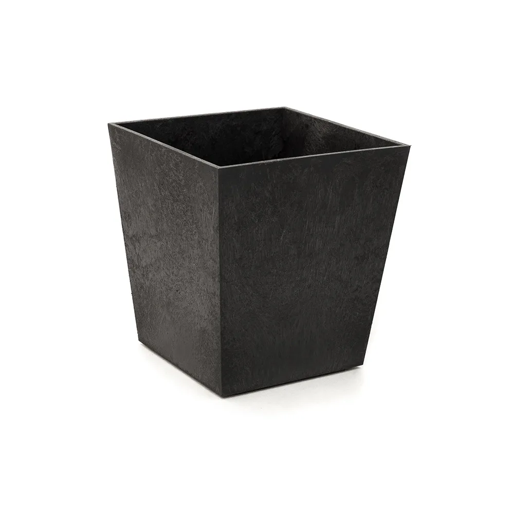 Blomkruka Recal Sonata