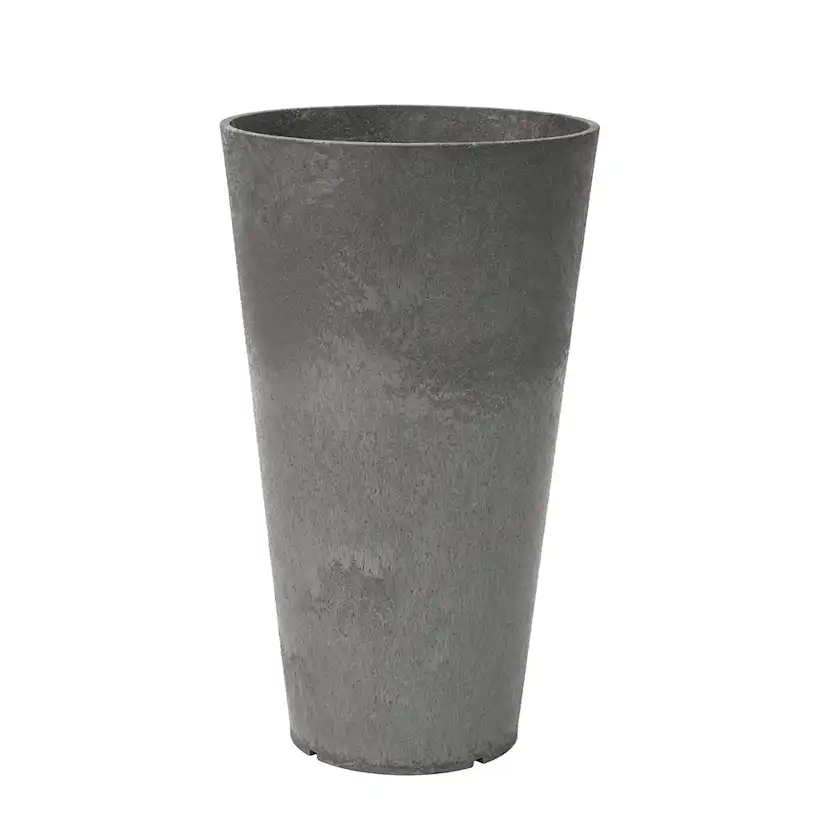 Blomkruka Recal Concerto