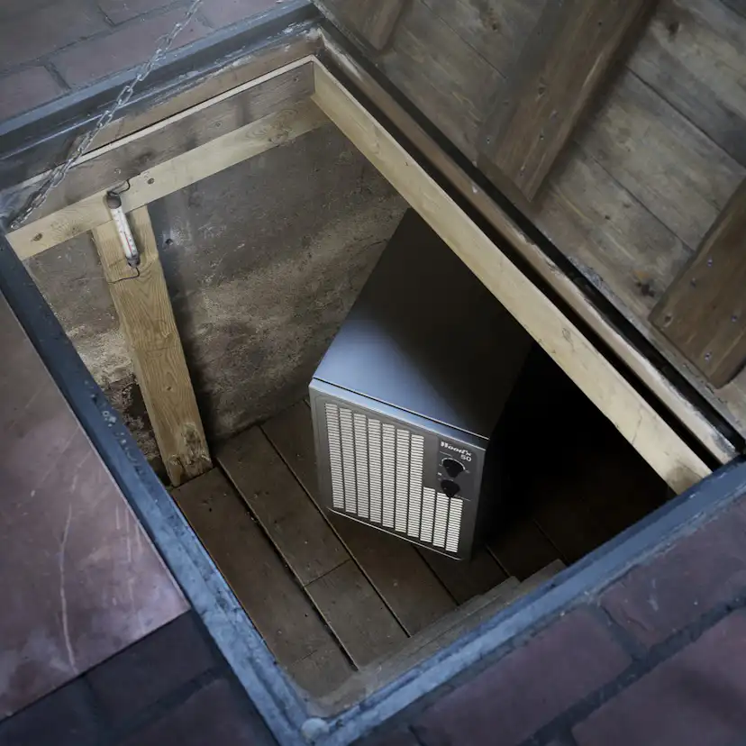 Avfuktare Woods DSC50FM