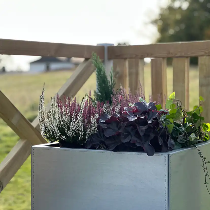 Kruka Recal Galvaniserad 50x50x50 cm