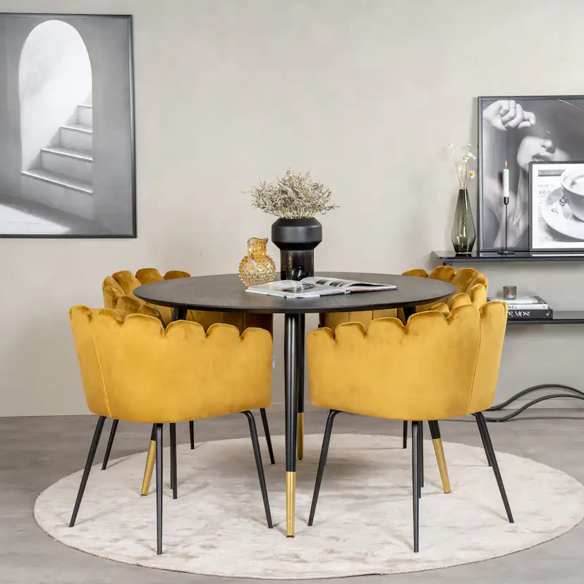 Matgrupp furniture/fashion Disa med 4 Limhamn Stolar