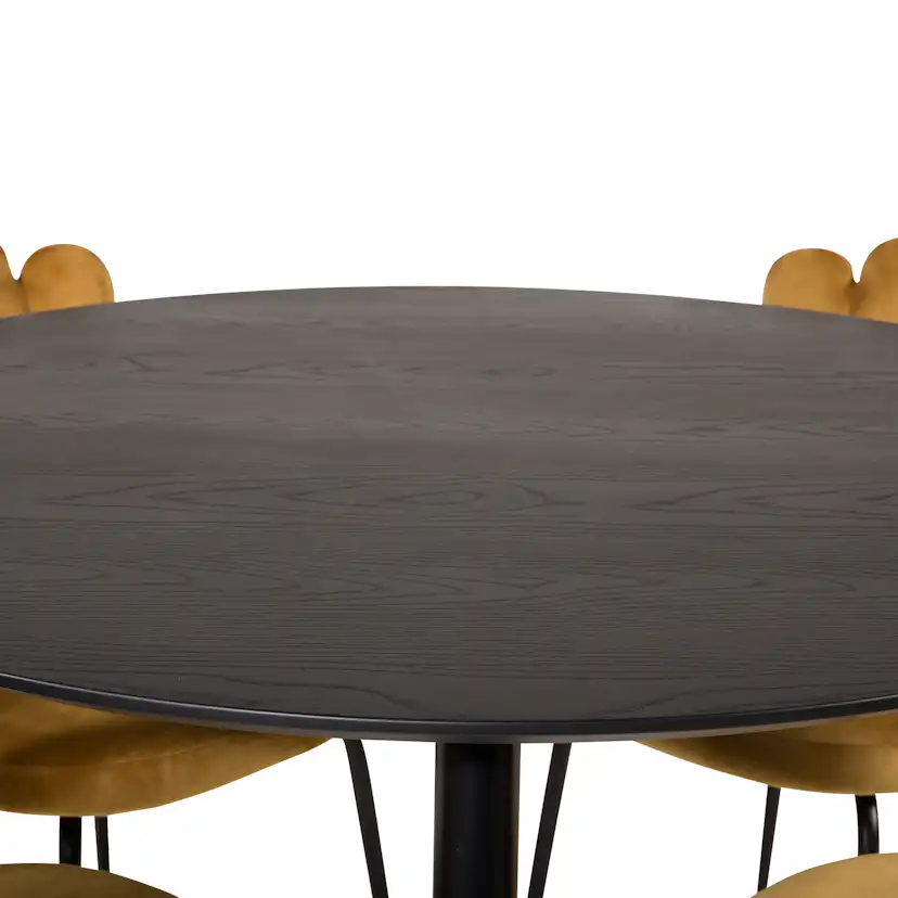 Matgrupp furniture/fashion Disa med 4 Limhamn Light Stolar