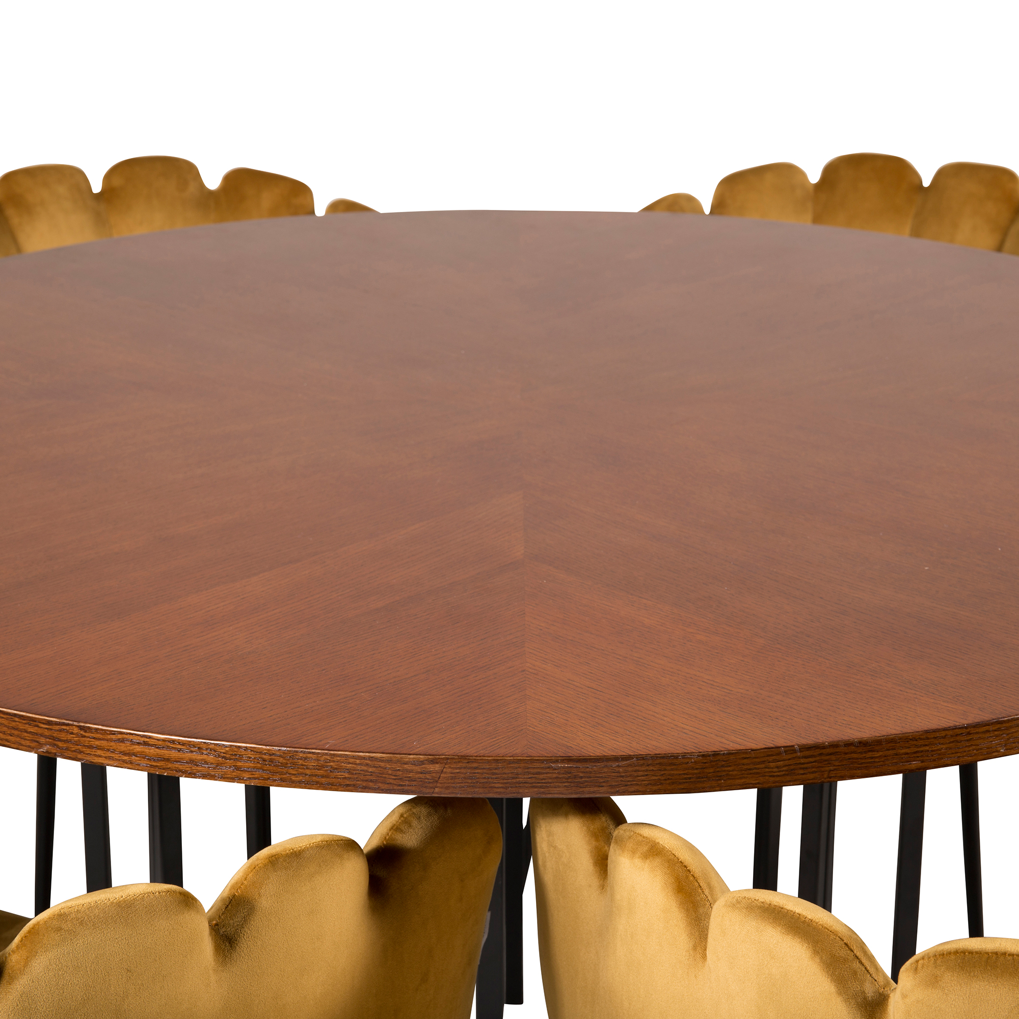 Matgrupp Venture Home Copenhagen med 6 Limhamn Guld Stolar