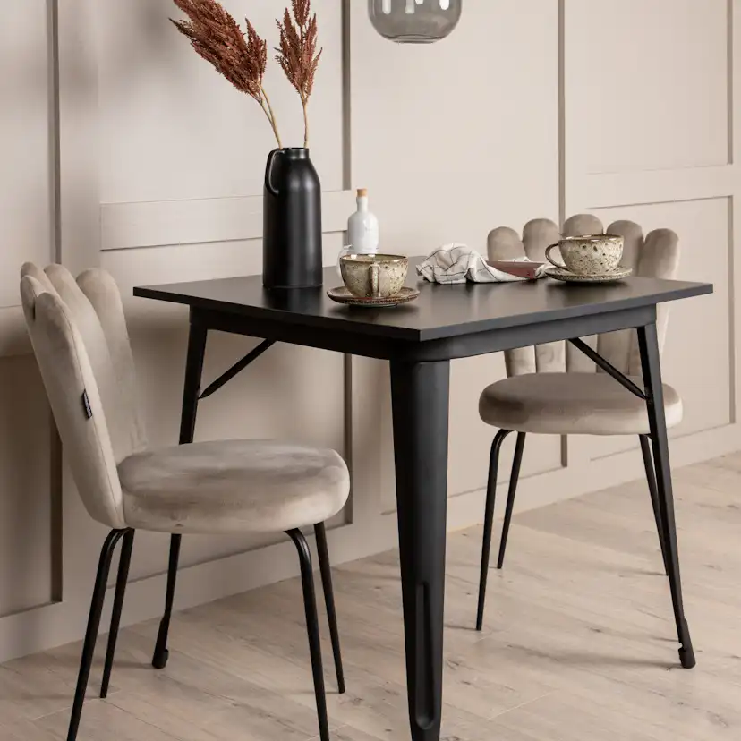 Matgrupp Venture Home Tempe med 2 Limhamn Light Stolar