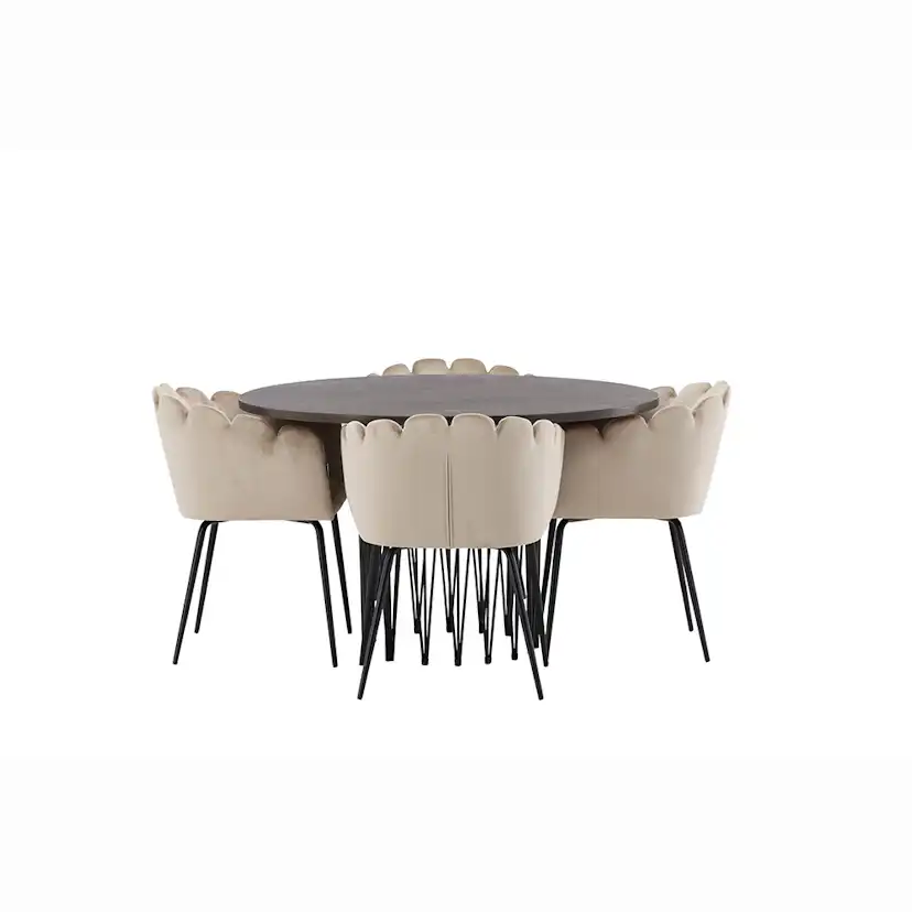 Matgrupp furniture/fashion Stone med 4 Limhamn Stolar Runt