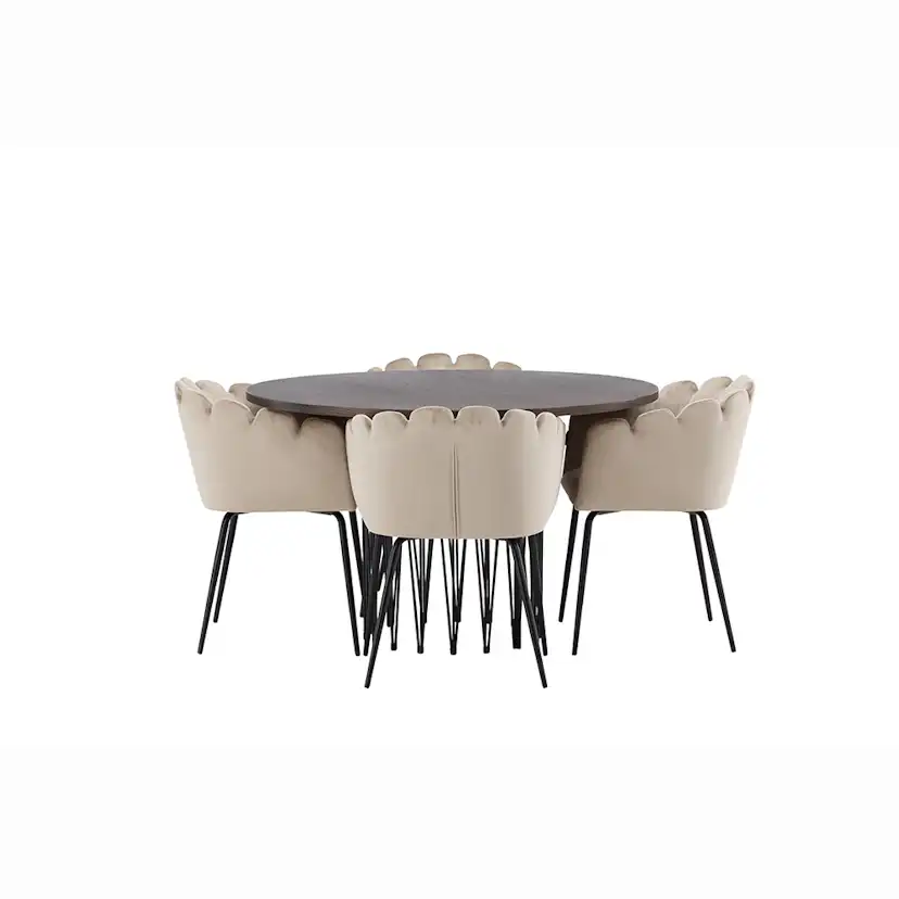 Matgrupp furniture/fashion Stone med 4 Limhamn Stolar Runt