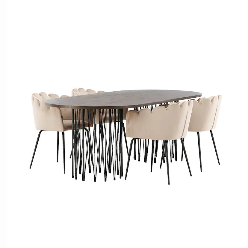 Matgrupp furniture/fashion Stone med 4 Limhamn Stolar