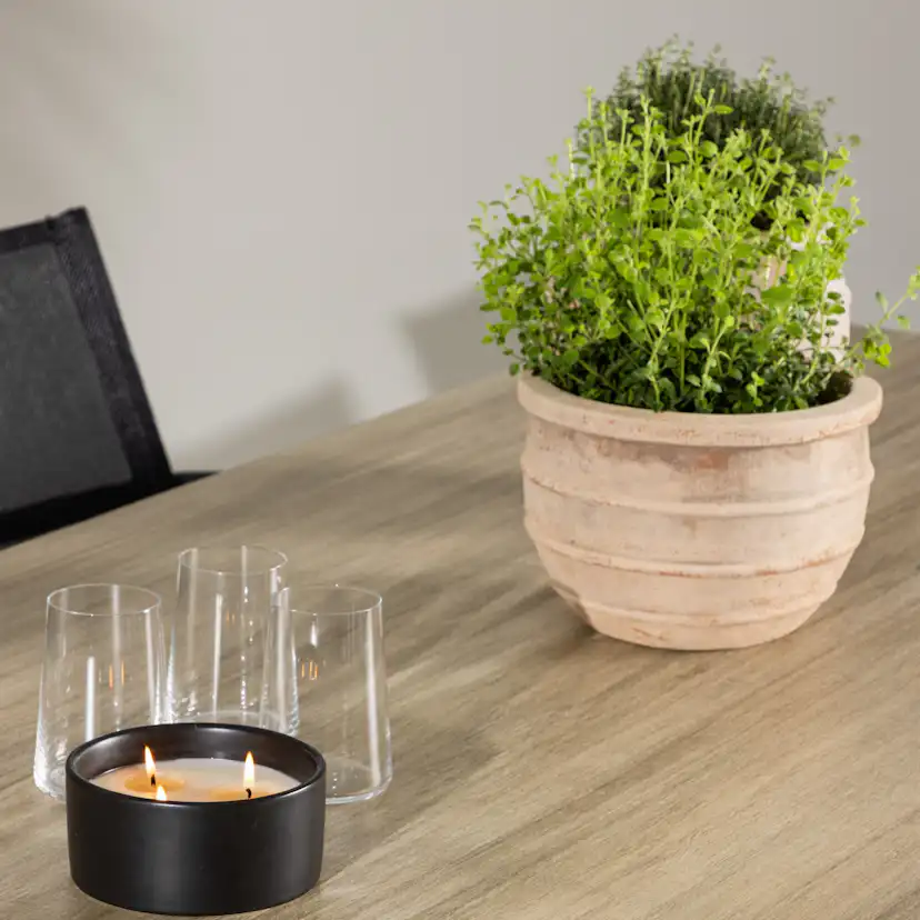 Trädgårdsgrupp Venture Home Merlo med 6 Alina Trädgårdsstolar