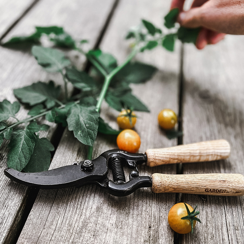 Sekatör by Benson Exclusive