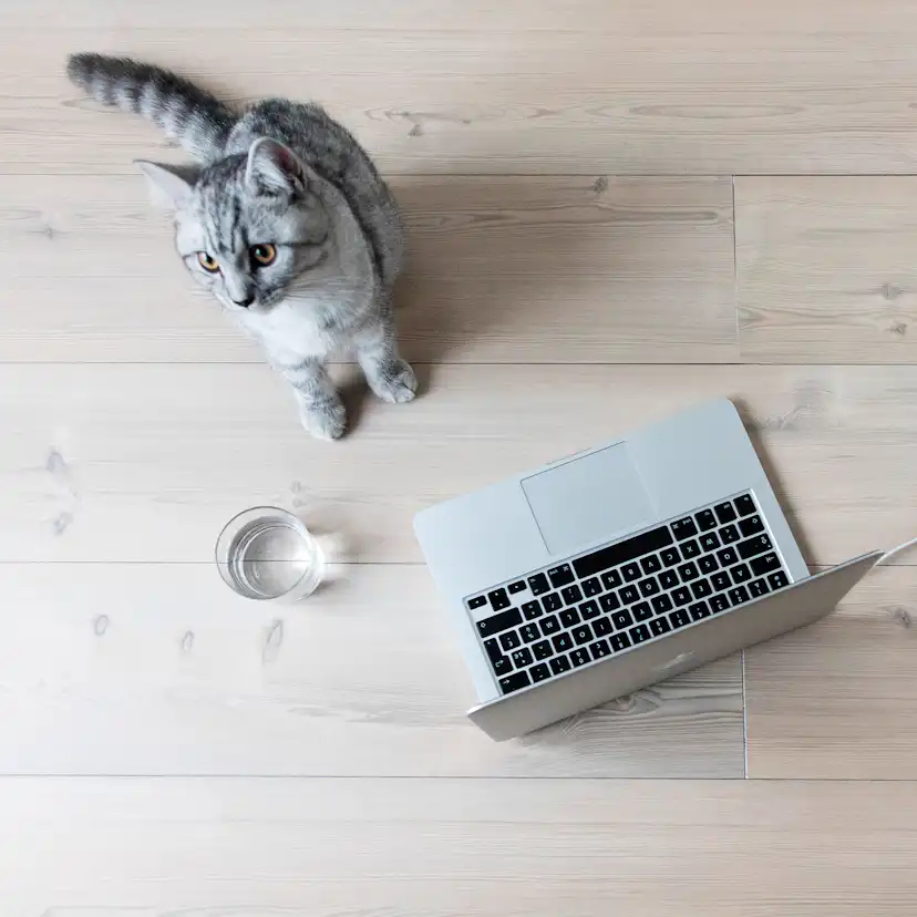 Laminatgolv BerryAlloc Original Sunset Boulevard 1-Stav