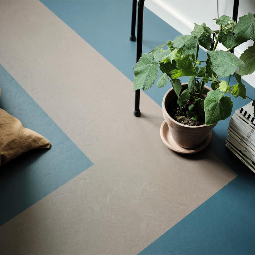 Linoleumgolv Forbo Marmoleum Click 30x30 cm Petrol med Klicksystem