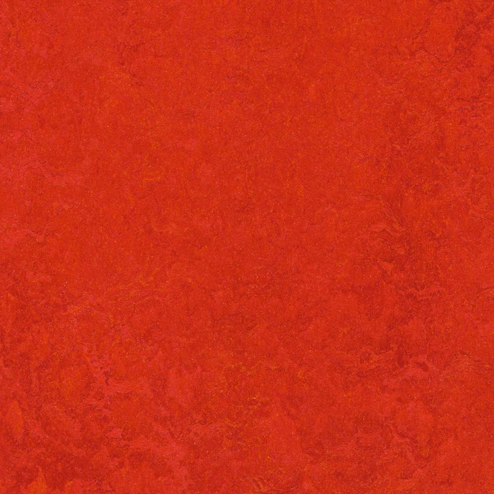 Linoleumgolv Forbo Marmoleum Click Scarlet 30x30cm med Klicksystem